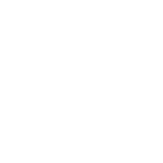 NextJS icon